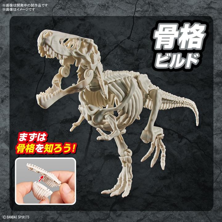 Produktbild Bandai DINOSAUR - New Dinosaur Plastic Tyrannosaurus (Tentative) - Model Kit