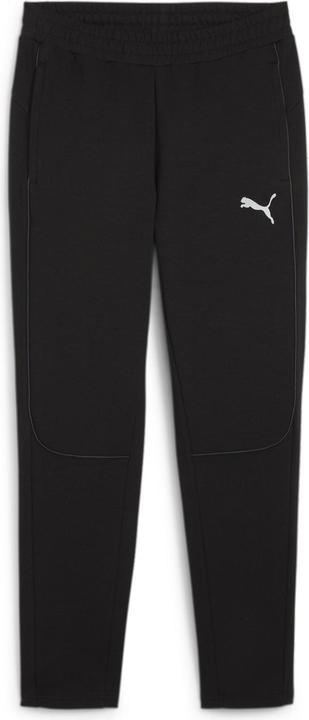 pumablackpumasilver