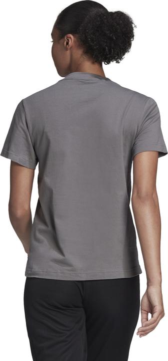 Produktbild adidas Damen T-Shirt Entrada 22 Jersey grau HC0439 (2XS) (XXS)