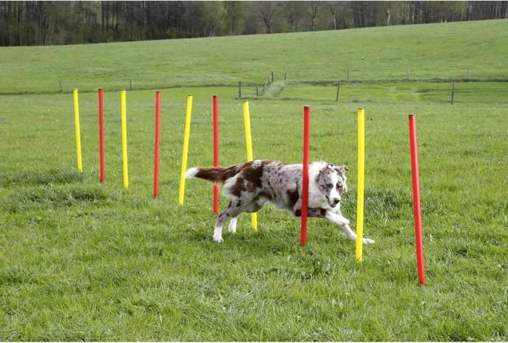 Image du produit Kerbl Kit complet (Taille unique, Agility)