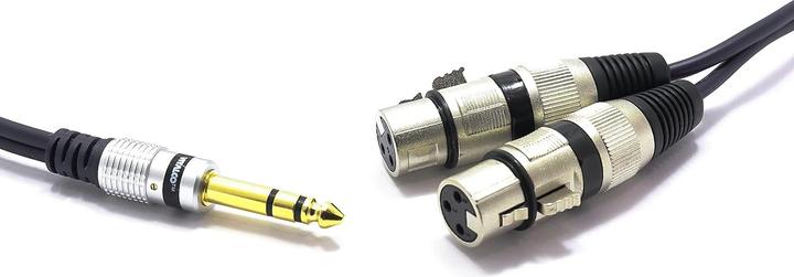 Immagine prodotto Vitalco 2x XLR auf Klinke Mikrofonkabel Adapter (3 m, Connettore da 3,5 mm (AUX), XLR)