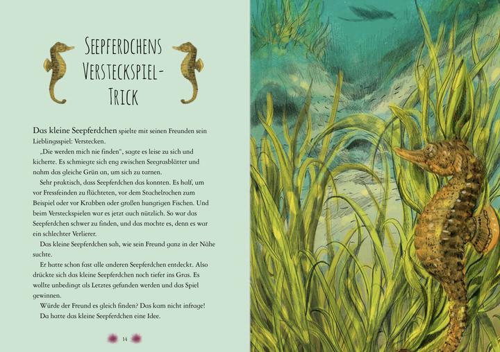 Immagine prodotto Il meraviglioso mondo degli animali del mare - letto da Jakob Graf (Chae Strathie, Jakob Graf, Erin Brown, Beatrix Rohrbacher, Tedesco)