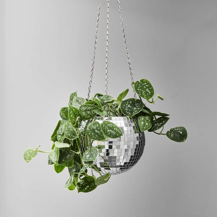 Produktbild home24 Disco (15 cm)