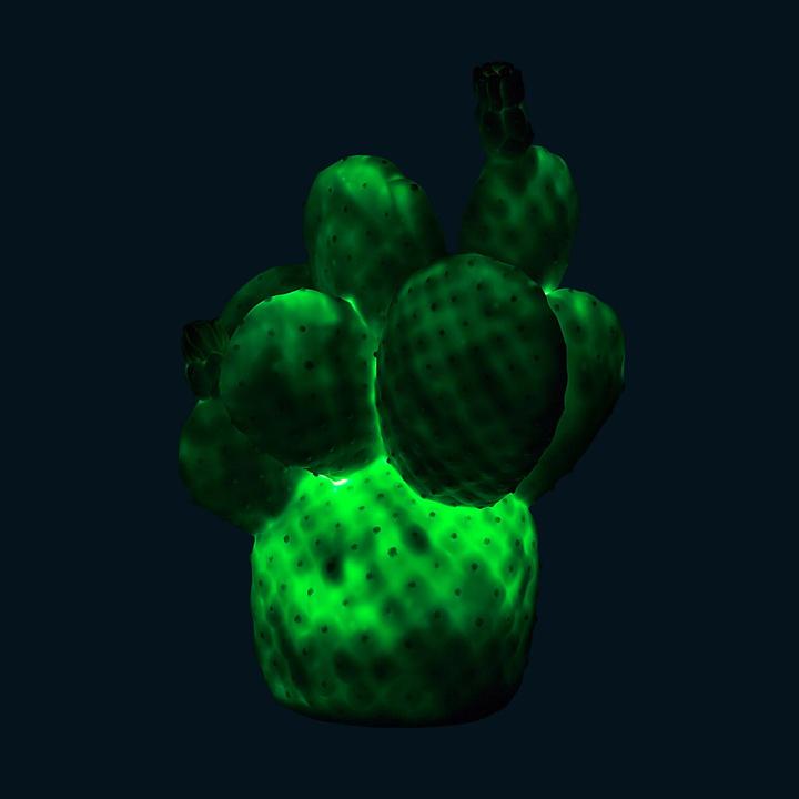 Produktbild Goodnight Light Cactus