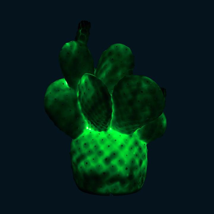 Produktbild Goodnight Light Cactus