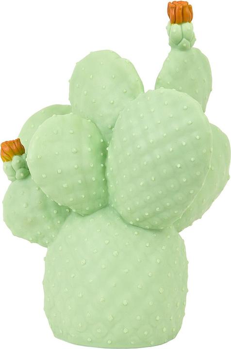 Image du produit Goodnight Light cactus