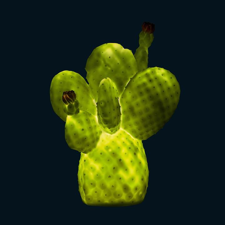 Image du produit Goodnight Light cactus
