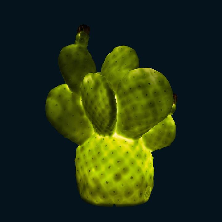 Image du produit Goodnight Light cactus