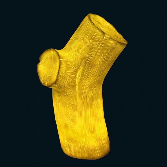 Actual product image Goodnight Light Driftwood