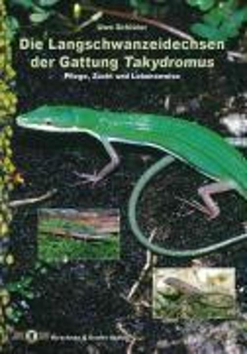 Produktbild Die Langschwanzeidechsen der Gattung Takydromus (Deutsch, Uwe Schlüter, 2003)