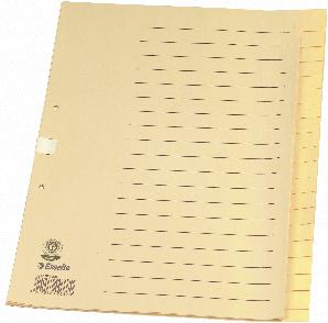 Produktbild Esselte Register Papier chamois