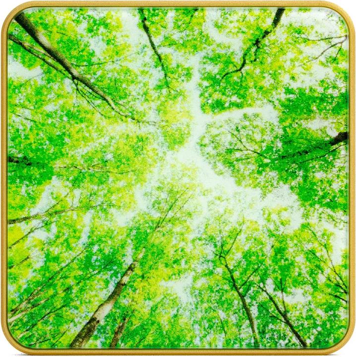 Produktbild NoName Smart Home Air Quality Sensor/Gold/Tree Airv-Tree