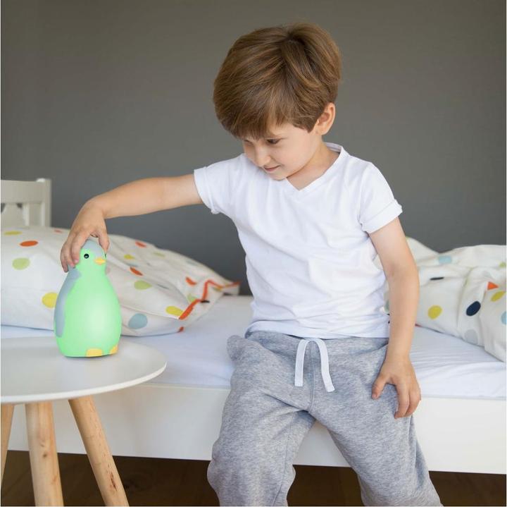 Actual product image ZaZu Sleep aid Pam