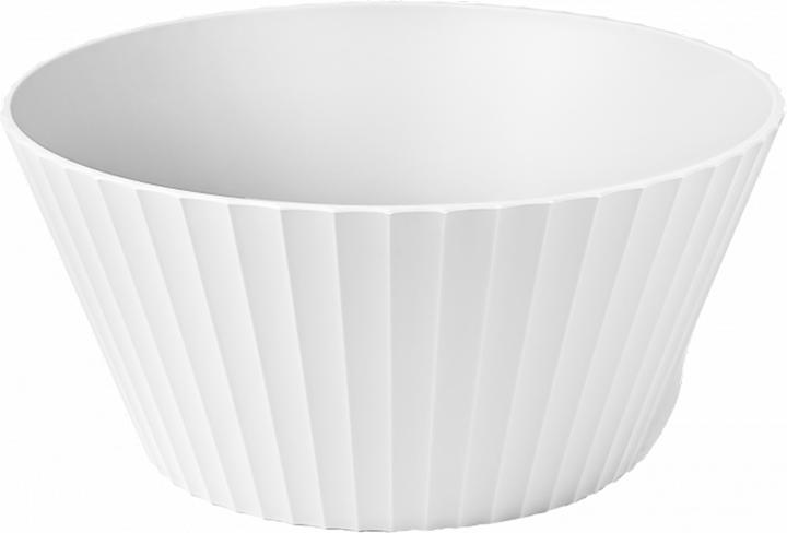 Arctic White