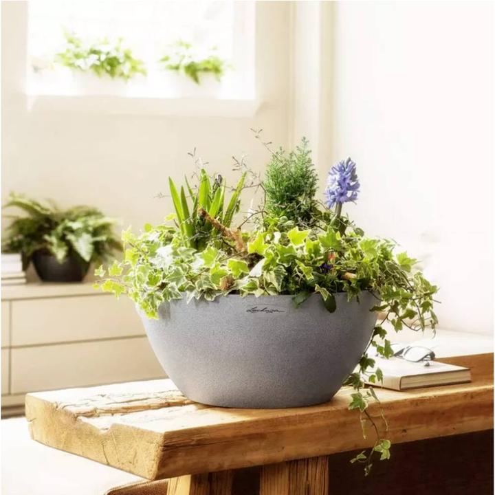 Immagine prodotto Lechuza Cubeto Colore (30 cm)