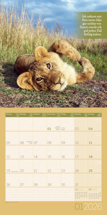 Produktbild Keep Smiling! Kalender 2026 - 30x30 (30 x 30 cm, Deutsch, Englisch, Französisch)