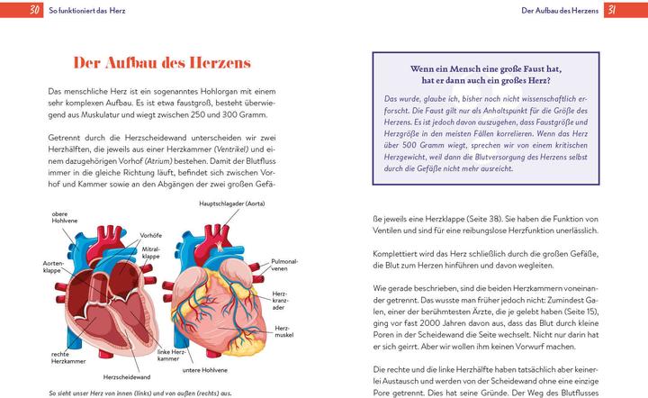 Image du produit Gesundheit ist Herzenssache (Allemand, Dr. med. Markus Knapp, Thomas Krug, 2024)