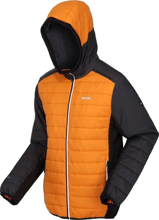 Image du produit Regatta - Veste matelassée TRUTTON - Homme (M)