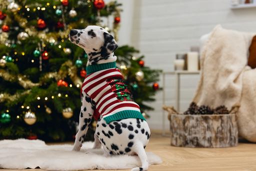 Image du produit Beeztees Hohoho (M, Pull-over pour chien)