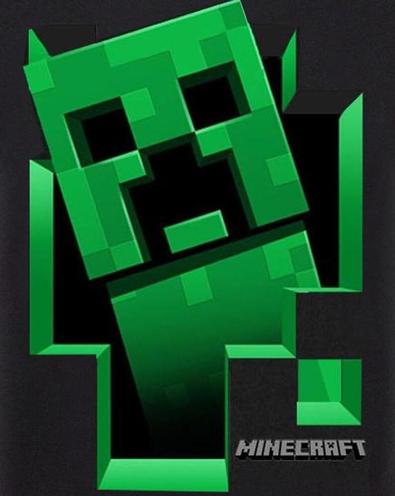 Produktbild Minecraft Inside TShirt Jungen (164, 170)