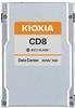 Actual product image Kioxia X134 CD8-R dSDD PCIe U.2 (7680 GB, 2.5")