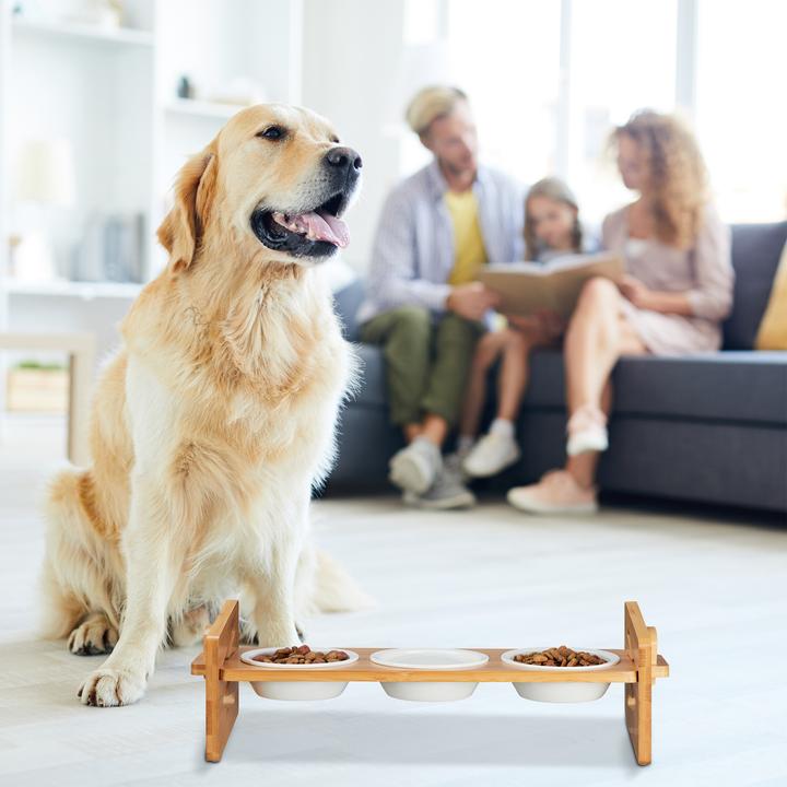 Immagine prodotto Relaxdays Stazione di cibo per cani (0.20 l)