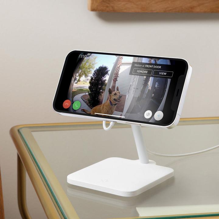 Image du produit TwelveSouth Forté (15 W)