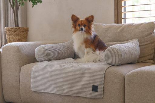 Actual product image Designed by Lotte Couch cushion Ribbed (Dog)