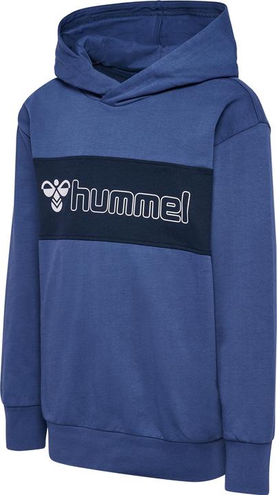 Actual product image hummel hmlATLAS HOODIE (110)