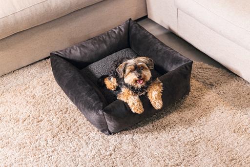 Actual product image Designed by Lotte Ribbed divan bed (Dog)