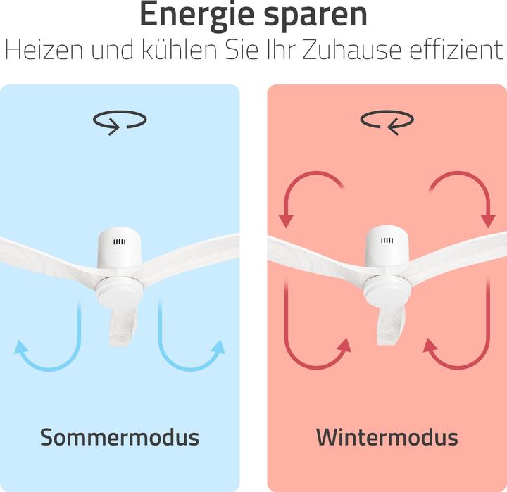 Immagine prodotto Hombli Deckenventilator mit Licht (43 dB)