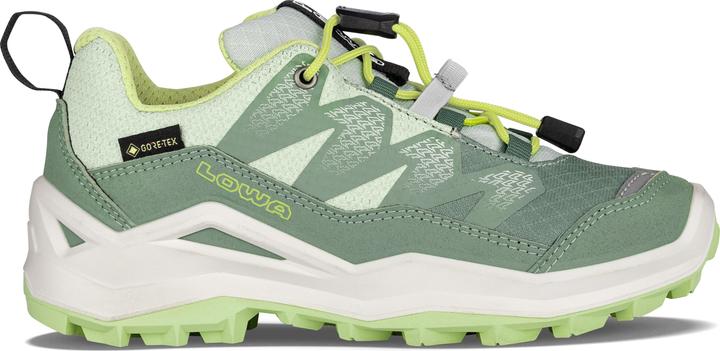 Immagine prodotto Lowa Maddox Pro GTX LO (28)