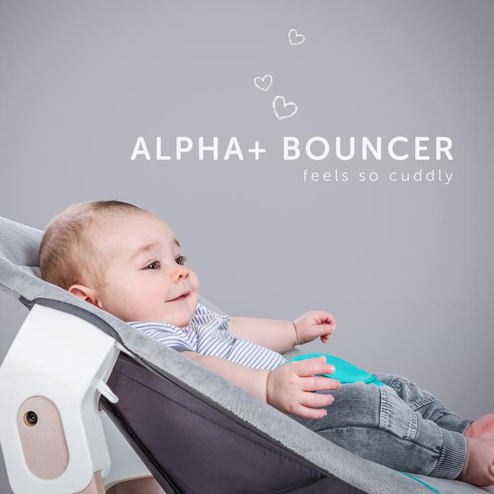 Image du produit Hauck Videur Alpha 2 en 1