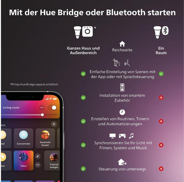 Actual product image Philips Hue SmartPlug CH