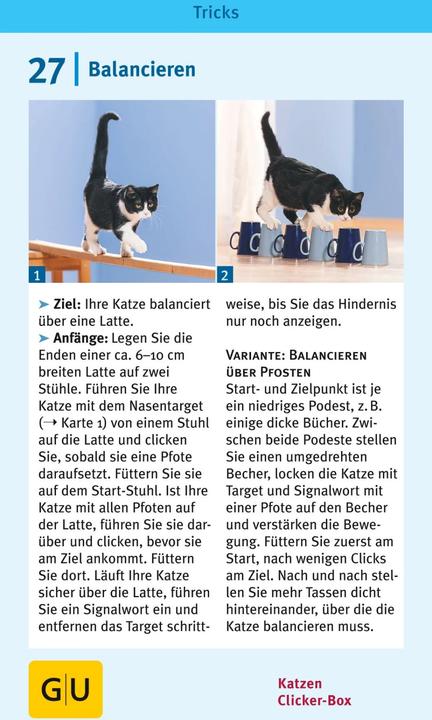 Image du produit Katzen-Clicker-Box (Allemand, Birgit Rödder, 2013)