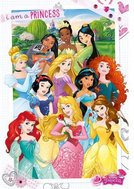 Actual product image Disney Princess Poster (61 x 91 cm)