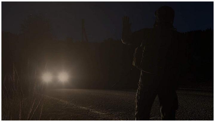 Actual product image Sold Out DayZ (PS4, DE)