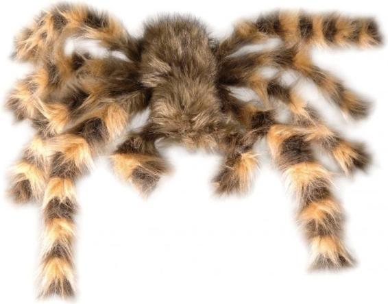 Actual product image Widmann Hairy tarantula