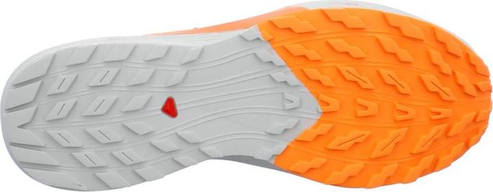 Actual product image Salomon Sense Ride 5 (45 1/3)