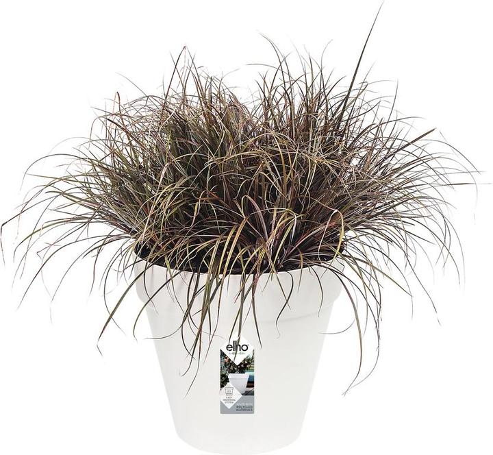 Actual product image Elho Loft Urban (38.50 cm)