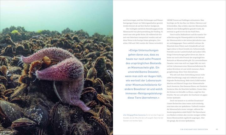 Produktbild Unsere Meere – Naturwunder Nord- und Ostsee (Deutsch, Thomas Behrend, Martina Andrés, 2023)