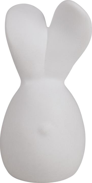 Image du produit Rayher Moule plein en silicone "Lapin