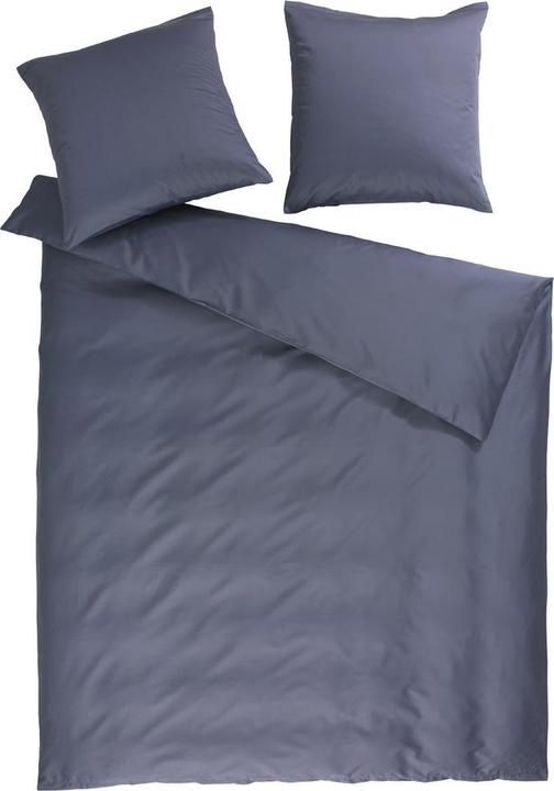 Bleu poussiéreux