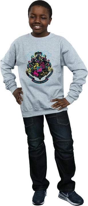 Produktbild Neon Hogwarts Crest Sweatshirt Jungen (152, 158)