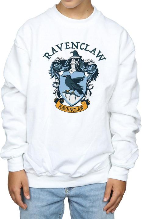 Produktbild Sweatshirt Jungen (128)