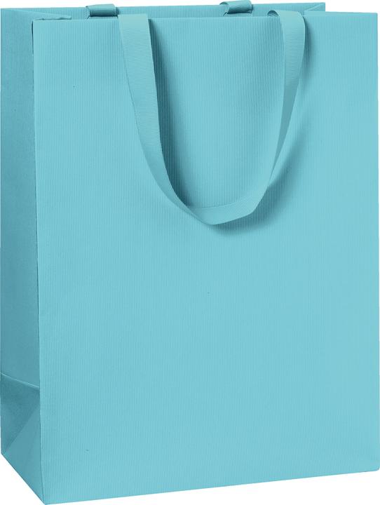 Image du produit Stewo Sac cadeau 23x13x30 One Colour bleu clair (Pochette cadeau, 1 x)