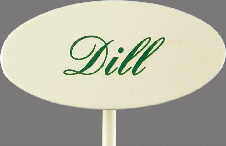 Gewürzstecker Dill 20 cm (20 cm)