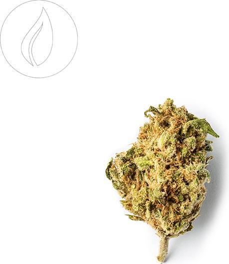 Produktbild Green Passion Passion Kush (10 g, Indoor)