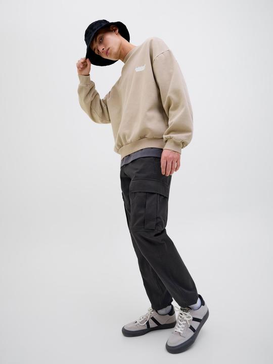 Actual product image Jack & Jones Relaxed Fit Cargo-Hose Cargo-Hose (W31/L34)