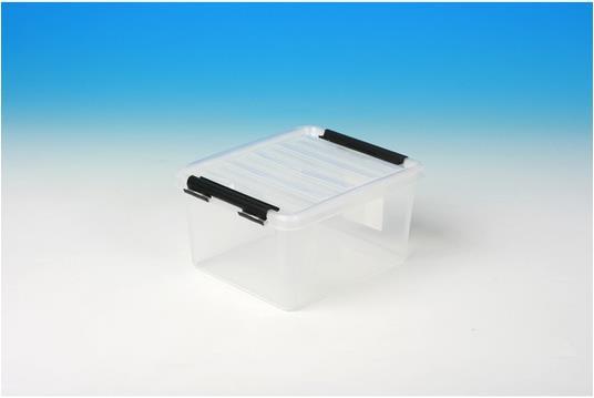 Actual product image Ebnat Carrying box with lid (21 x 17 x 11 cm, 2 l)